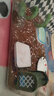 寵街坊魚(yú)缸桌面小型金魚(yú)缸PET魚(yú)缸一體缸透明生態(tài)烏龜缸客廳家用送禮 曬單實(shí)拍圖