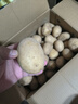 京覓 黃皮土豆 凈重9斤單果100g起 沙土地洋芋馬鈴薯新鮮蔬菜源頭直發(fā) 曬單實(shí)拍圖