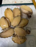 朵芙 【鮮活】青島鮑魚500g 大號(hào)鮑魚小鮑魚活鮑魚海鮮水產(chǎn)生鮮貝類 活凍鮑魚/8頭 曬單實(shí)拍圖