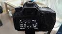 佳能(Canon)6D2 6D 7D 7D2 6D Mark II 佳能6d2二手單反相機(jī) 佳能6D2單機(jī)身 99新 曬單實(shí)拍圖
