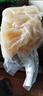 正宗黃牛筋牛蹄筋【半熟】火鍋牛蹄筋冷凍牛腳筋生鮮黃牛牛筋原味 1斤【優(yōu)質(zhì)牛蹄筋】 曬單實拍圖