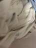 童泰（TONGTAI）嬰兒背心夏季純棉寶寶衣服打底內(nèi)衣兒童無袖上衣提花杏色100cm 曬單實(shí)拍圖