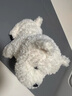 babycare西高地毛絨電動(dòng)玩偶安撫玩具電子寵物送女生七夕情人節(jié)禮物口令狗 【萬人購(gòu)買】西高地+魅力貝雷套裝 曬單實(shí)拍圖