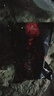 軒博 大師 小麥原漿 精釀啤酒2L*4大桶 整箱裝  聚會(huì)暢飲 曬單實(shí)拍圖