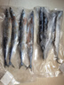 新漁姐 東海大整條秋刀魚 (無冰) 深海魚冷凍 125-140g/條 秋刀魚 (無冰) 125-140g/條3斤 曬單實拍圖