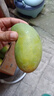 壹萌果蔬金煌芒芒果 當(dāng)季現(xiàn)摘廣西大芒果新鮮水果青皮芒果整箱送禮 5斤精品果【單果150g+】 凈4.5斤 曬單實(shí)拍圖