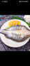 一蝦一世界 三去開背海鱸魚/河鱸魚（去鱗去腮去內(nèi)臟）新鮮冷凍 年貨年夜飯 海鱸400-450g/條【拍4件劃算】 曬單實拍圖
