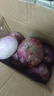 京鮮生 河南紫皮洋蔥帶皮 凈重5斤 單果300g+ 新鮮蔬菜源頭直發(fā) 曬單實(shí)拍圖