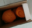 新西蘭進(jìn)口丹爍蘋(píng)果dazzle脆甜小蘋(píng)果丹碩紅蘋(píng)果Sunbrst 12顆 【小果脆甜帶皮吃】單果115g+ 曬單實(shí)拍圖