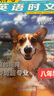 2025一本英語(yǔ)熱考時(shí)文閱讀第7輯第8輯七年級英語(yǔ)熱考時(shí)文閱讀八九年級中考英語(yǔ)時(shí)文閱讀訓練上下冊初一二三英語(yǔ)時(shí)文閱讀理解完形短文填空強化訓練 8年級-第6輯 正版 曬單實(shí)拍圖