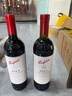 奔富（Penfolds）BIN8設拉子赤霞珠干紅葡萄酒 750ml*1支 原瓶進口木塞澳版 曬單實拍圖