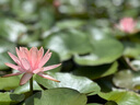 碧然德（BRITA） 家用濾水壺 凈水壺濾芯 Maxtra 多效濾芯 6枚裝 曬單實(shí)拍圖