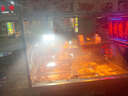 哲初德國露營燈超長續(xù)航超亮野營帳篷太陽能戶外充電夜市擺攤停電備用 【白光】800W【3600毫安】 曬單實拍圖