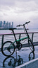 大行（DAHON）D6折疊自行車(chē)20英寸6速入門(mén)級(jí)折疊車(chē)成人學(xué)生通勤休閑單車(chē)KBC061 墨綠色 曬單實(shí)拍圖