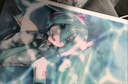初音未來(lái).KEI畫集 mikucolor 5周年紀(jì)念畫集 曬單實(shí)拍圖