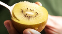 佳沛（zespri）新西蘭  陽光金奇異果10粒禮盒巨大果單果約144-175g 水果 獼猴桃 曬單實拍圖