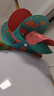 彌鹿（MiDeer）兒童玩具手工折紙飛機(jī)3d立體紙藝奇趣工坊-風(fēng)車王國兒童禮物 曬單實(shí)拍圖