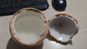 泰國(guó)進(jìn)口牛奶椰皇奶椰丹嫩沙多椰子肉孕婦新鮮水果椰子蛋椰青晨米 牛奶椰皇2個(gè)裝 曬單實(shí)拍圖