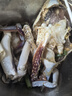 舟山梭子蟹鮮活特大野生大螃蟹新鮮冷凍海鮮水產(chǎn)海蟹飛蟹白蟹順豐 7-9兩/只【5斤凈重 特大肥壯】 曬單實(shí)拍圖