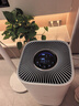 美的（Midea）森林家空氣凈化器Air4 家用除甲醛除菌除異味除過敏原甲醛傳感器實(shí)時(shí)監(jiān)測(cè)國(guó)家補(bǔ)貼 【母嬰認(rèn)證優(yōu)選】KJ550G-YY 曬單實(shí)拍圖