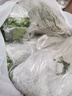 荊芥菜新鮮河南大葉荊芥葉菜調(diào)味涼拌菜莖芥鮮嫩現(xiàn)挖現(xiàn)發(fā)帶根 新鮮現(xiàn)挖荊芥  【 4斤】 曬單實拍圖