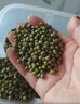 沐谷 東北綠豆量販5斤裝 可發(fā)豆芽薄皮綠豆沙綠豆湯解暑原料 曬單實拍圖