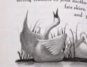 英文原版 吹小號(hào)的天鵝 The Trumpet of the Swan E.B.懷特三部曲之一 曬單實(shí)拍圖