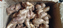 粵品沙姜新鮮正宗廣東茂名高州化州特產(chǎn)沙姜白切雞配料 三奈香料調味 沙姜5斤 曬單實(shí)拍圖