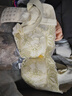 維多利亞內衣女無(wú)鋼圈小胸聚攏收副乳防下垂爆款平胸專(zhuān)用文胸罩 香檳色 L 36/80AB 【上薄下厚】 曬單實(shí)拍圖