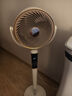 創(chuàng)維【一級能效】空氣循環(huán)扇電風(fēng)扇大風(fēng)力客廳智能語音遙控落地扇輕音臥室輕音一級能效Q539 咖色 曬單實(shí)拍圖