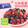素坊每日莓果 混合草莓樹莓新鮮冷凍藍(lán)莓鮮果黑莓速凍水果冰凍漿果 【新】莓果90g*8袋+漿果90g*2袋 曬單實(shí)拍圖