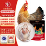 天農(nóng) 甄選純種清遠(yuǎn)雞 2斤 無抗供港走地雞整雞肉 冷凍 生態(tài)散養(yǎng)188天 曬單實(shí)拍圖