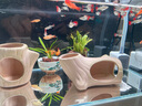 YEE超白魚(yú)缸桌面客廳生態(tài)斗金魚(yú)烏龜缸造景小型水草養(yǎng)魚(yú)玻璃裸缸40cm 曬單實(shí)拍圖