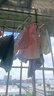 浪莎（LangSha）兒童內(nèi)褲女童內(nèi)褲中大童5A抑菌內(nèi)褲寶寶青少年平角短褲6條裝 140 曬單實(shí)拍圖