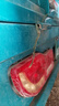 維諾亞摩托車電動(dòng)車三輪車后尾燈線三燈六線剎車燈泡后轉(zhuǎn)向燈后尾燈燈泡 48/60/72V三燈六線/2條公插頭 曬單實(shí)拍圖