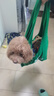 領(lǐng)先狗主食罐全價(jià)狗罐頭小型犬成犬通用泰迪營(yíng)養濕糧罐頭 鵝肉南瓜西芹120g*6罐 曬單實(shí)拍圖