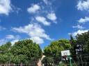 漫德萊洗車高壓水槍園藝花園澆花澆水刷車神器家用水管軟管噴頭10米套裝 曬單實拍圖
