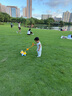 皇兒兒童拉線牽繩學(xué)爬助步學(xué)步車嬰兒寶寶音樂爬行手推電動小狗狗玩具 曬單實(shí)拍圖
