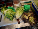綠食者 沙拉蔬菜組合3.5斤 新鮮苦菊綠葉紅葉生菜西餐沙拉健康輕食蔬菜 蔬菜沙拉組合3.5斤【無沙拉醬】 曬單實(shí)拍圖