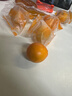 桃李村 金桔 小金桔水果 黃金桔新鮮水果 油皮小金桔當季生鮮 1500g 曬單實(shí)拍圖