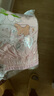 小青龍嬰兒童男童女童寶寶內(nèi)褲小孩1-15歲純棉小童三角褲面包短褲5條裝 女寶寶套餐A- 抑菌款 5條 150 （建議145-160cm） 曬單實拍圖