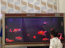 創(chuàng  )寧魚(yú)缸氧氣泵 養魚(yú)氣泵 水族箱增氧泵 打氧加氧泵 增氧機充氧泵 套餐四【大號6.5W】10cm納米沙盤(pán) 曬單實(shí)拍圖