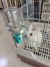 禾其臺灣禾其自動(dòng)喝水瓶兔子貓咪狗飲水器滾珠水壺不濕嘴懸掛寵物喝水 天藍色 曬單實(shí)拍圖