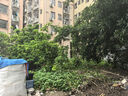 歐派諾油煙機(jī)家用廚房大吸力吸油煙機(jī)小尺寸脫排抽煙機(jī)小戶型側(cè)吸式抽油煙機(jī)單雙電機(jī)煙機(jī)灶具套裝 單電機(jī)710mm按鍵款公寓出租房用【不帶圍板】 自行安裝 曬單實(shí)拍圖