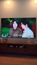長虹75D6H Mini 75英寸AI TV MiniLED內(nèi)置分艙回音壁300分區(qū)1200nits液晶電視機 一級能效 75英寸 曬單實拍圖