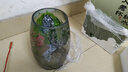 丘辰苔蘚微景觀養(yǎng)魚(yú)生態(tài)瓶diy辦公室內(nèi)桌面綠植擺件花卉盆栽生日禮物 翠微2025款 曬單實(shí)拍圖