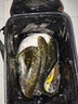 颯望德國戶(hù)外釣魚(yú)專(zhuān)用增氧泵小型魚(yú)缸氧氣泵養魚(yú)超靜音家用無(wú)聲大氣量 德系精工【至尊級】198W雙孔98800mA 曬單實(shí)拍圖
