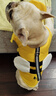 嬉皮狗（hipidog）狗狗救生衣寵物游泳衣服夏季柴犬泰迪中小型犬玩水泳衣中型大型犬 可愛蜜蜂 M（胸圍56-69，脖圍38-50） 曬單實拍圖