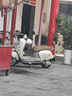 臺鈴電動摩托車72V21AH石墨烯鉛酸長續(xù)航踏板智能兩輪電瓶車 米洛棕丨升級版72V23A石墨烯 曬單實拍圖