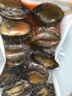 金唐鮮凍大鮑魚凈重500g/ 10頭鮑 帶殼鮑魚肉 貝類海鮮生鮮火鍋燒食材 曬單實拍圖